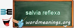 WordMeaning blackboard for salvia reflexa